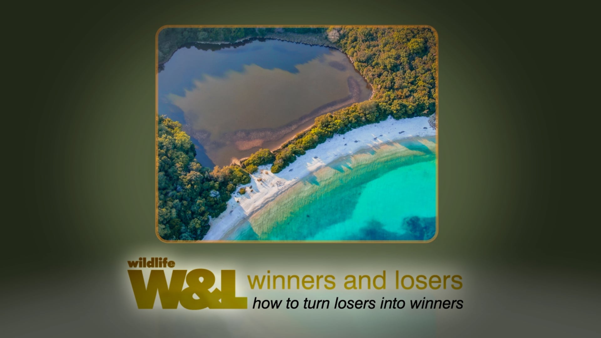 Crisis in Corfu Seals included?