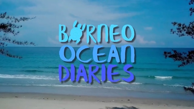 Borneo Ocean Diaries