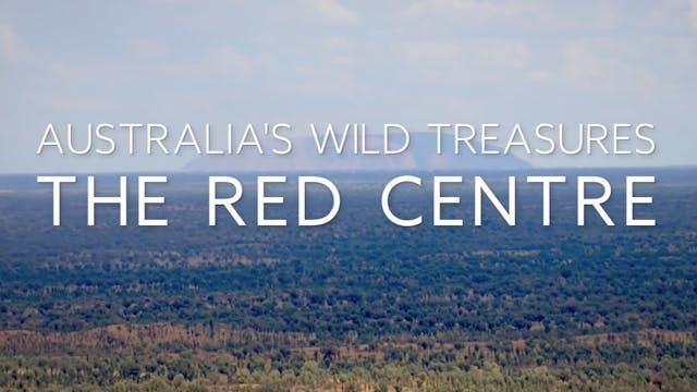 Australia's Wild Treasures: Episode 2