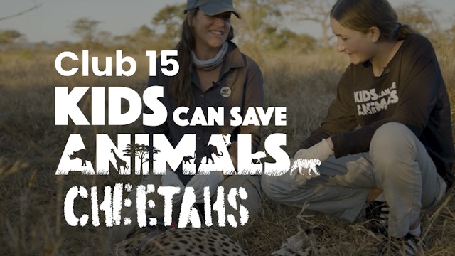 Club 15: Kids Can Save Animals - Ep 5 Cheetahs