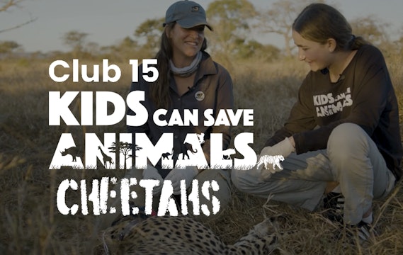 Club 15: Kids Can Save Animals - Ep 5 Cheetahs
