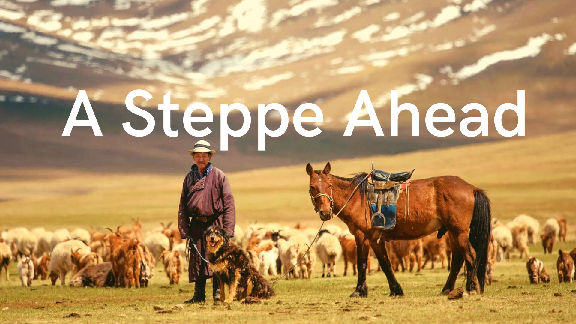 A Steppe Ahead - John Liu