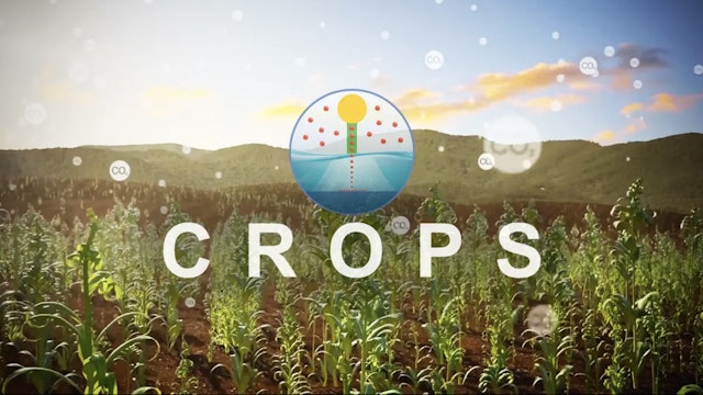 CROPS