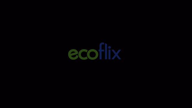 Ecoflix Creds Reel Summer 2023