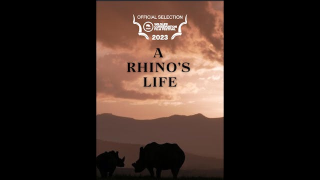 A Rhinos Life Teaser WCFF2023