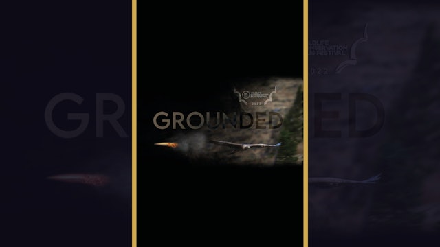 Grounded (Trailer)