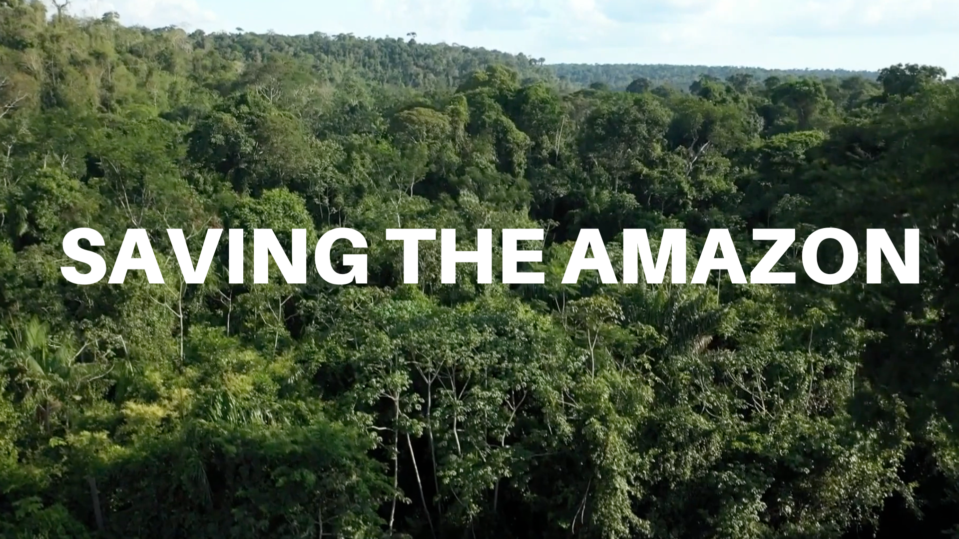 Saving The Amazon