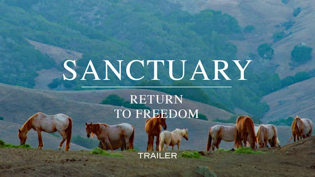 Sanctuary - Return to Freedom - Trailer