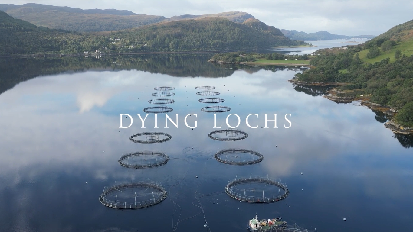 Dying Lochs 