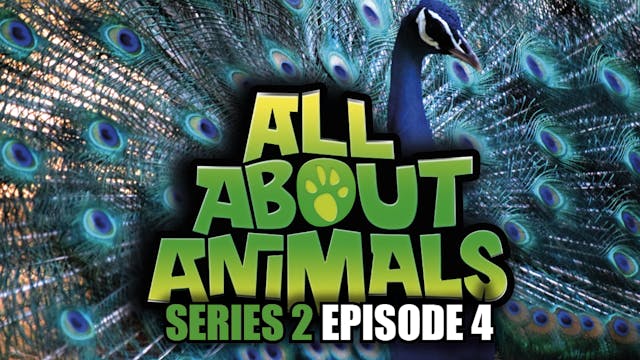 All About Animals - Series 2 - Episode 4