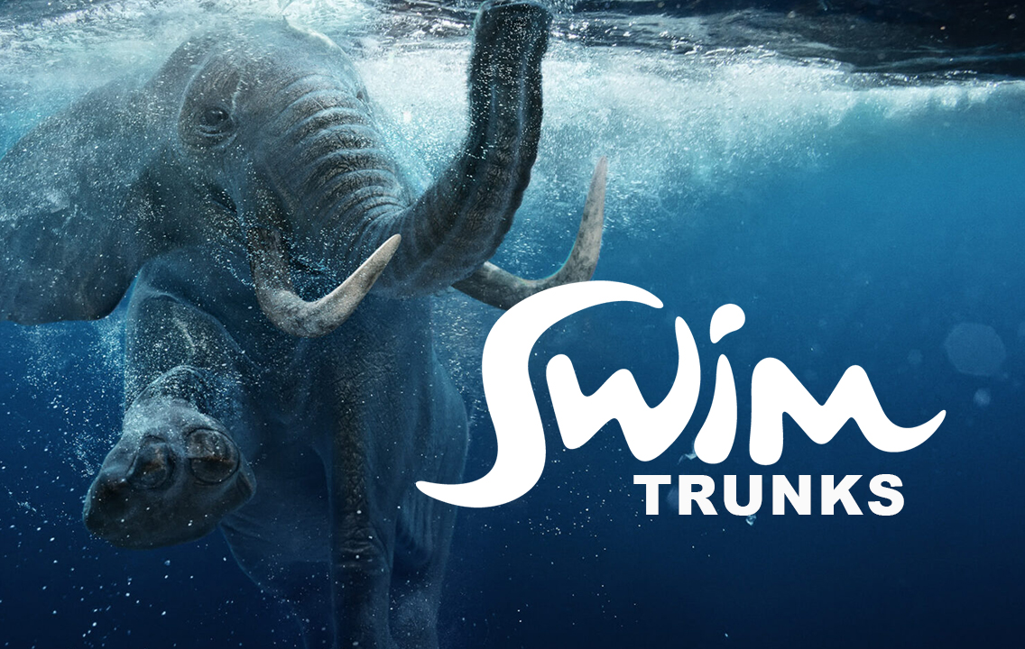 Elephants swim across Chobe river