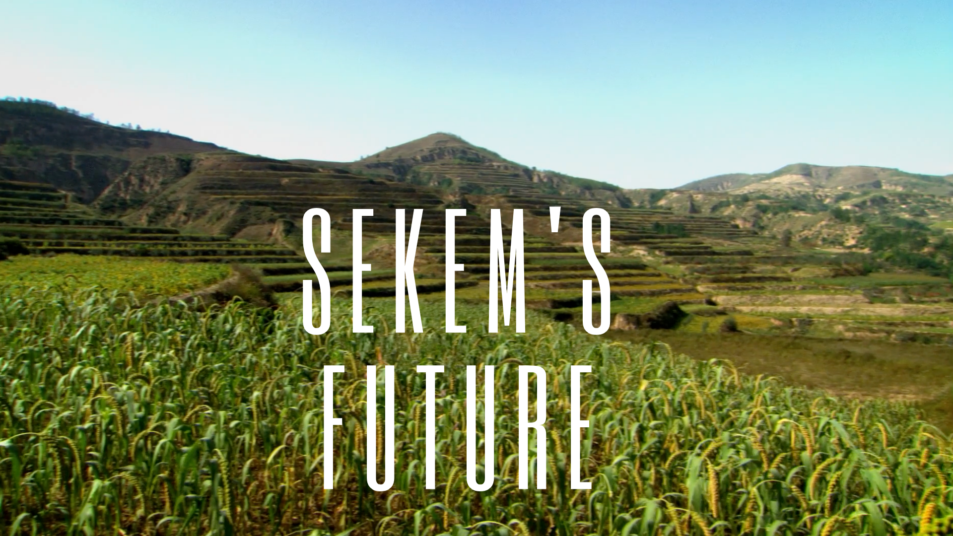 Darius Fisher - Sekem's Future - John Liu