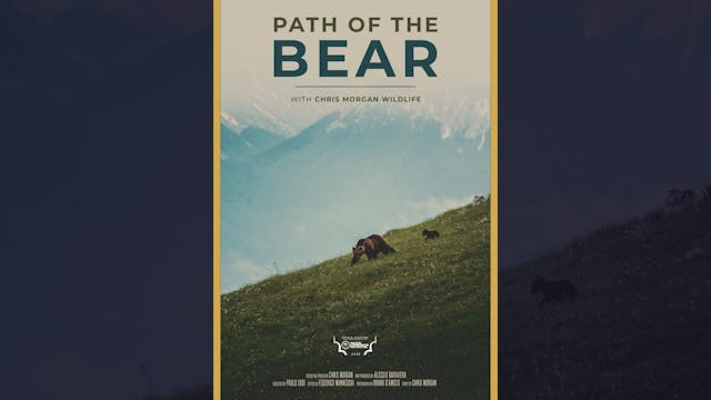 Path of the Bear