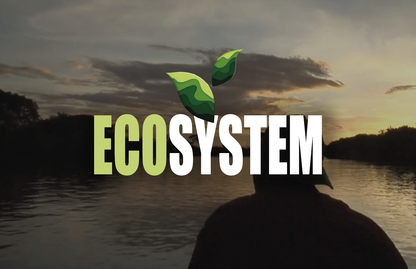 Ecosystem Adaption - John Liu