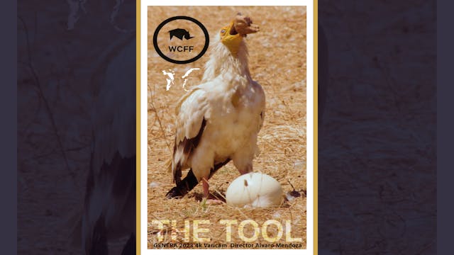 Mind Wild for The Tool (Trailer)