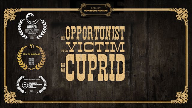 The Opportunist, The Victim and The C...