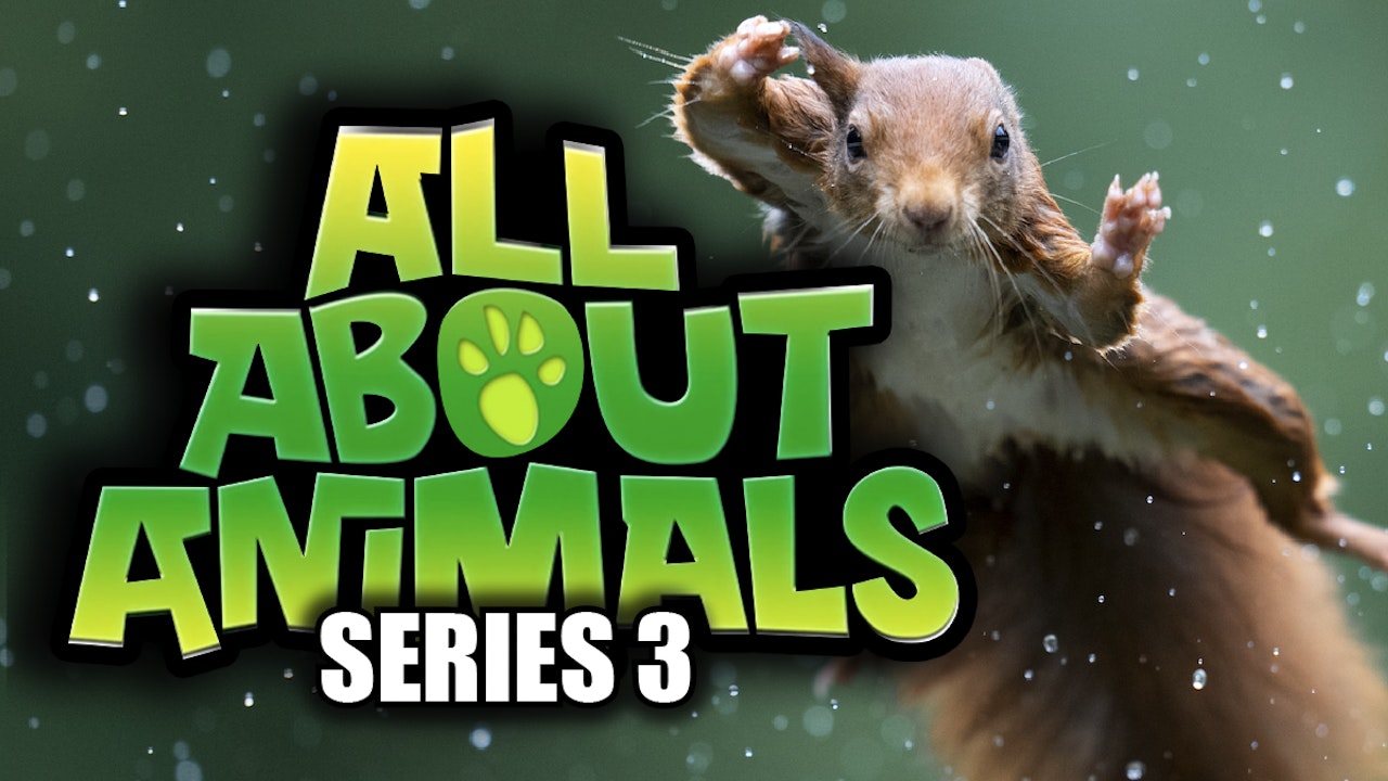All About Animals Series 3