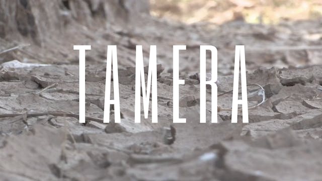 Tamera (Spanish Subtitles)