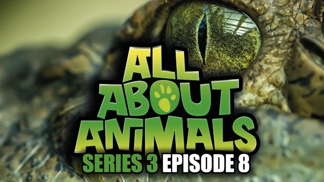 All About Animals - Series 3 - Episode 8