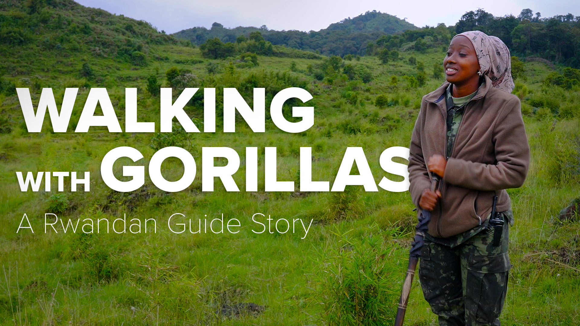 Walking With Gorillas - A Rwandan Guide Story