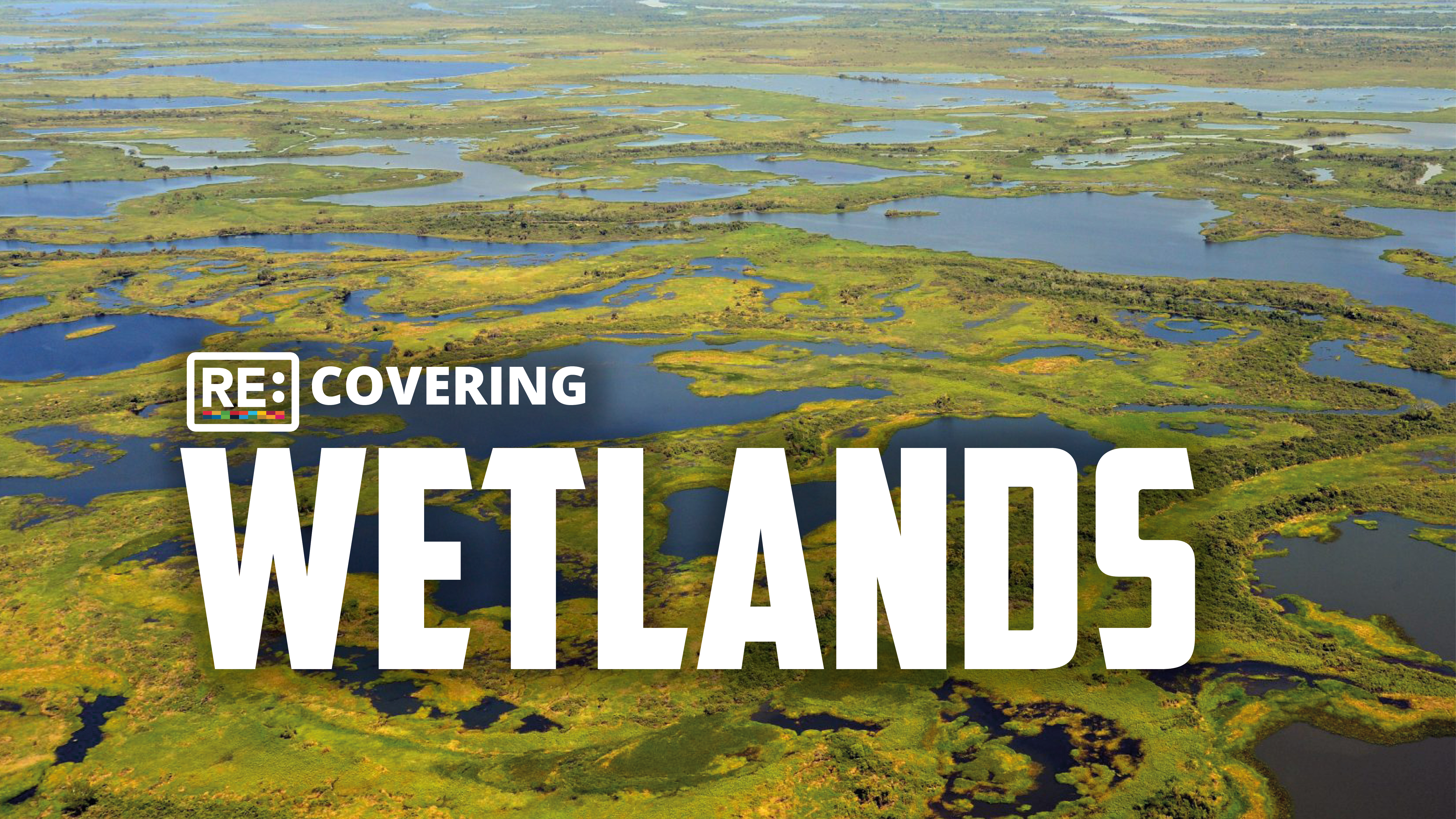 Recovering Wetlands