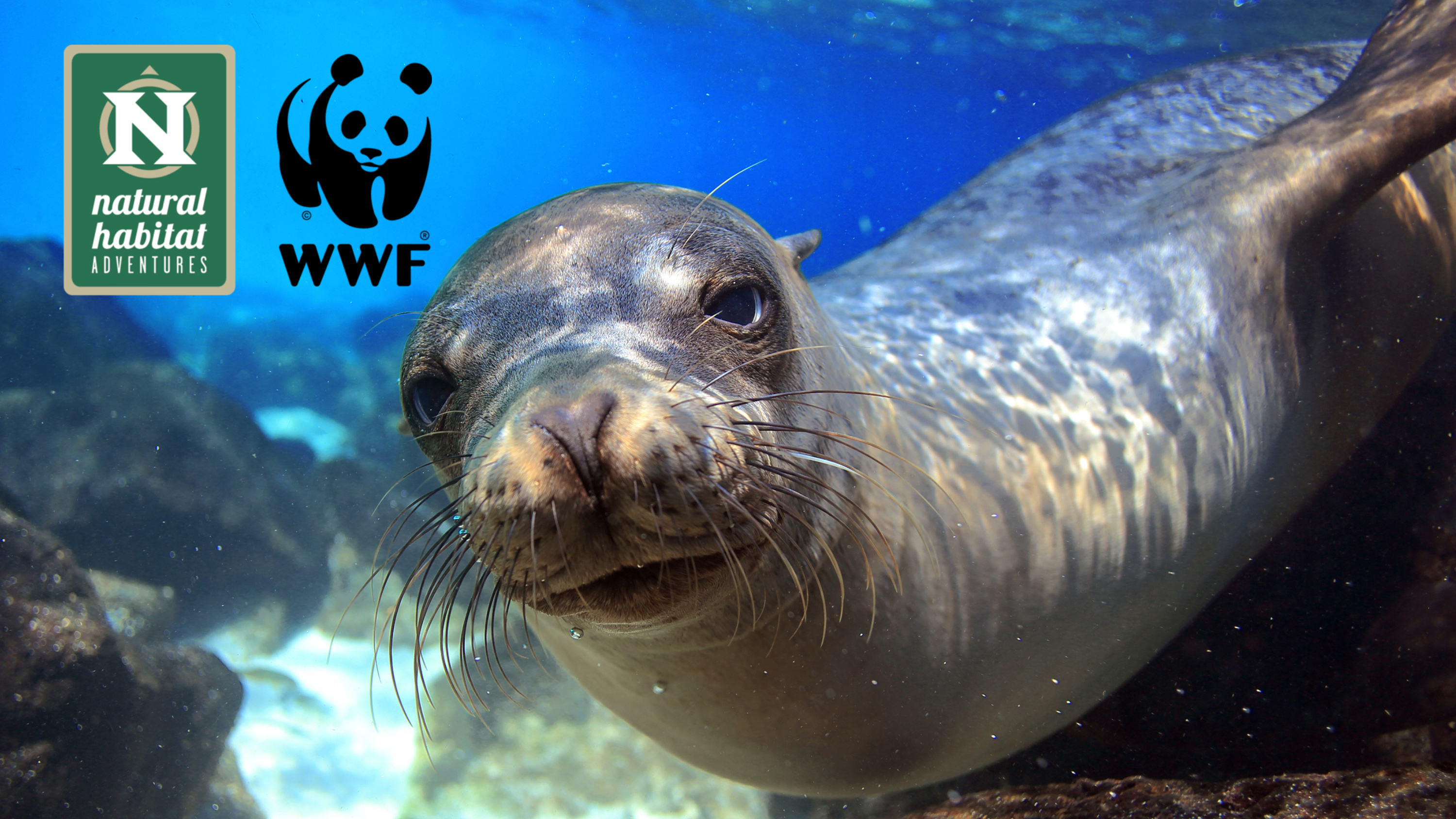 Natural Habitat Adventures