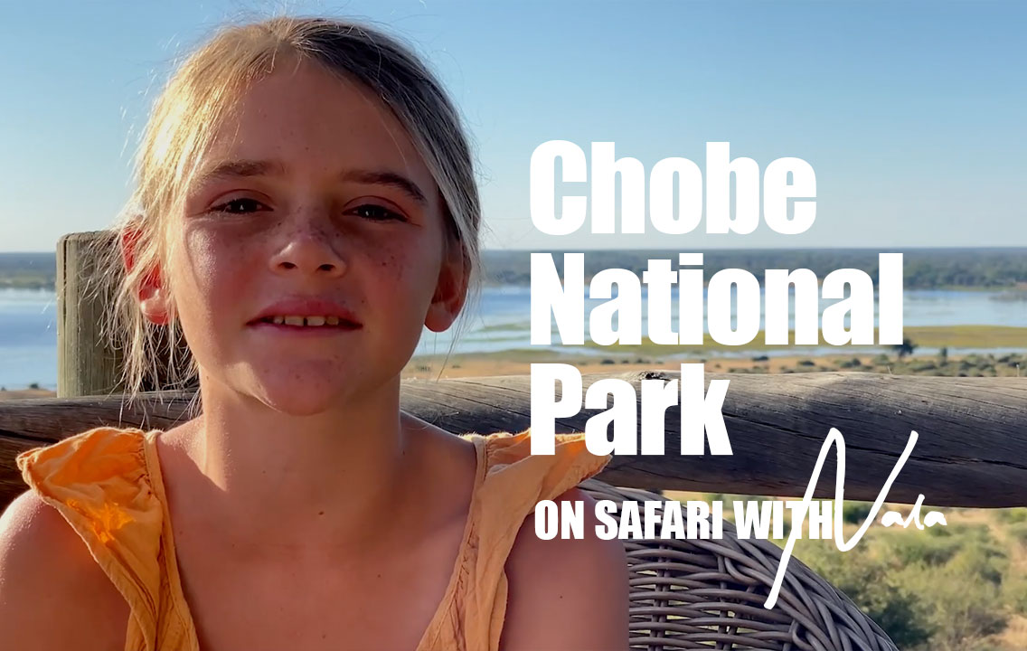 On Safari with Nala - Chobe National Park