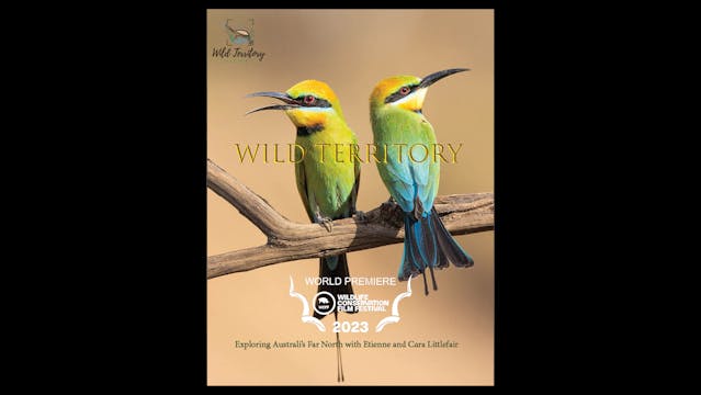 Wild Territory Teaser WCFF2023