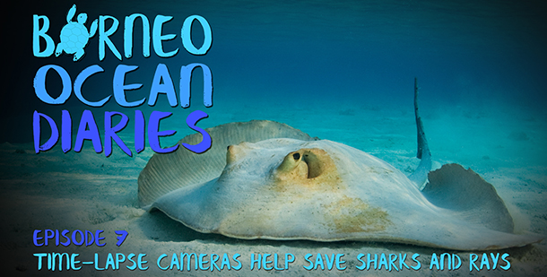 Borneo Ocean Diaries - episode 07