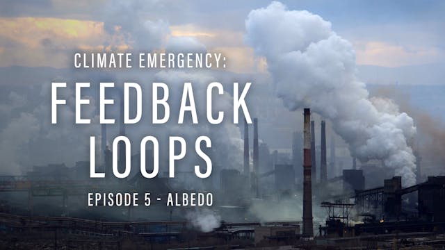 Climate Emergency: Feedback Loops 5 A...