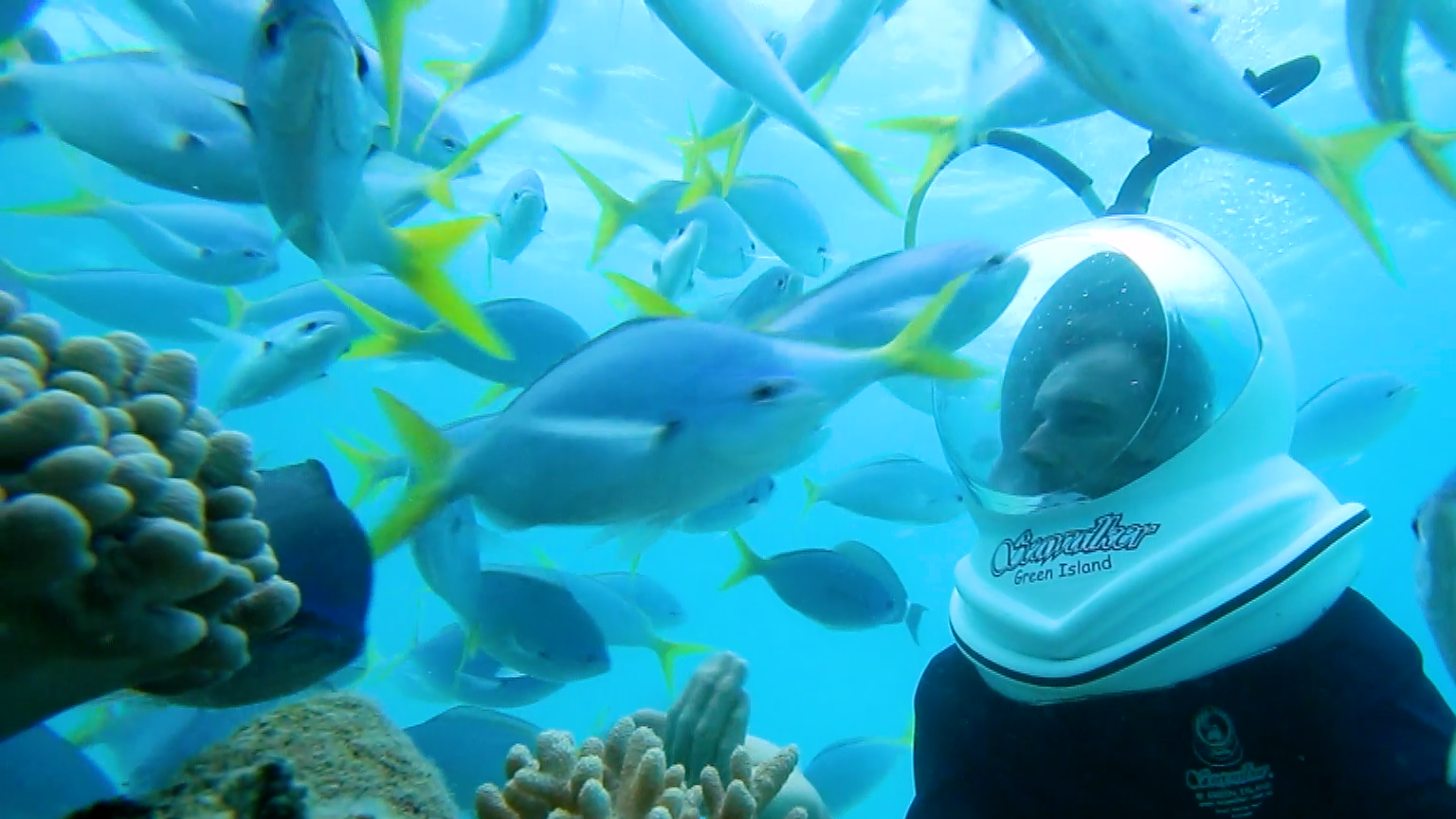 Great Barrier Reef - Karl Kuhle 