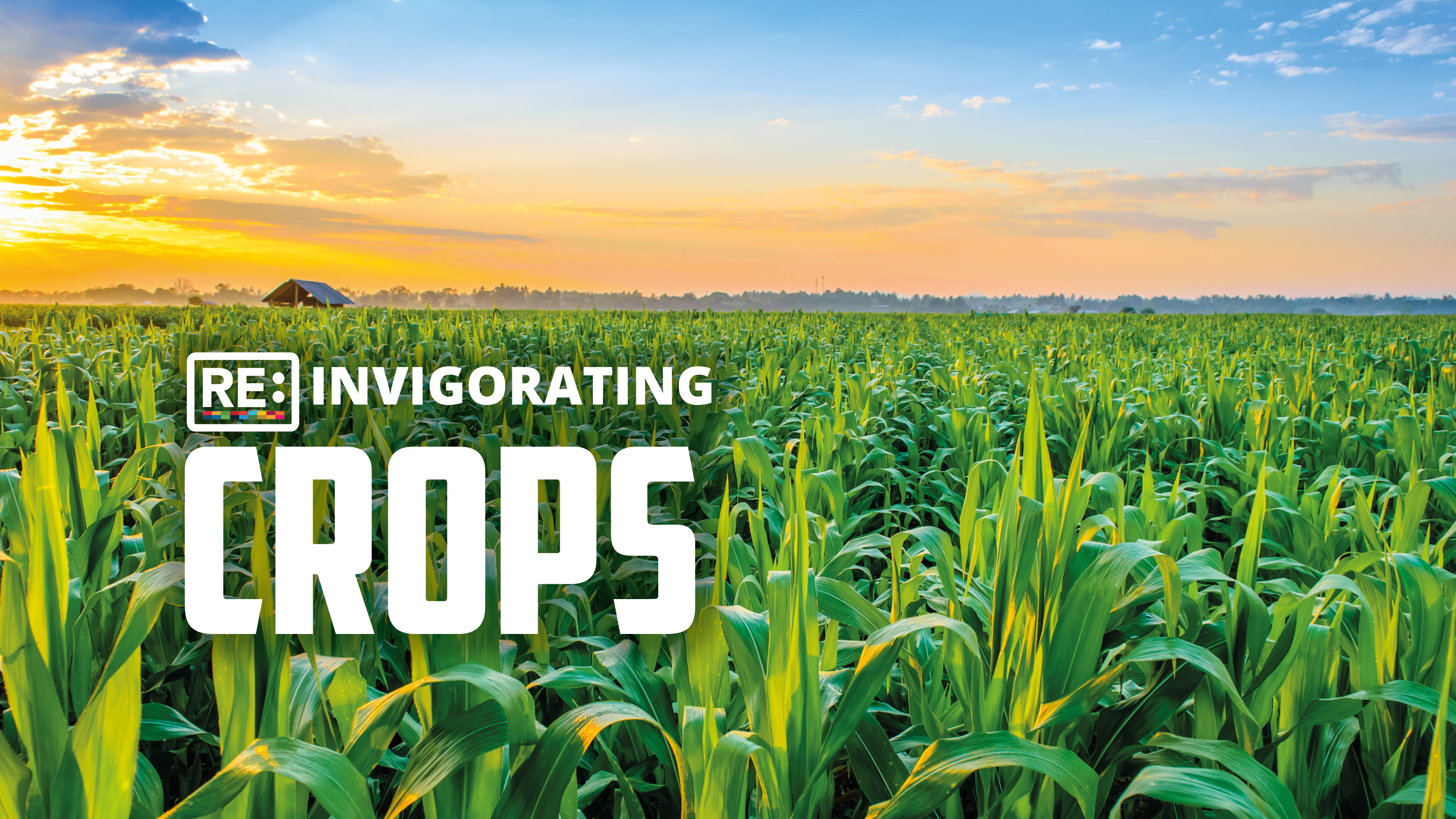 Reinvigorating Crops