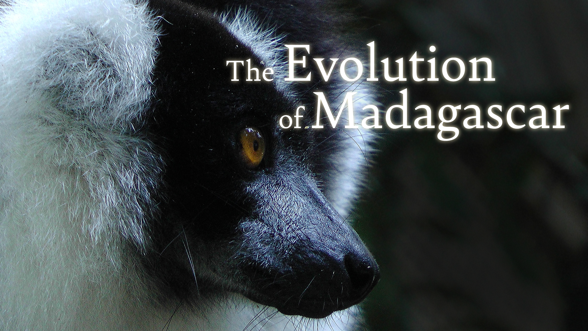 The Evolution of Madagascar