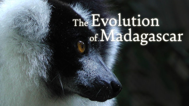 The Evolution of Madagascar