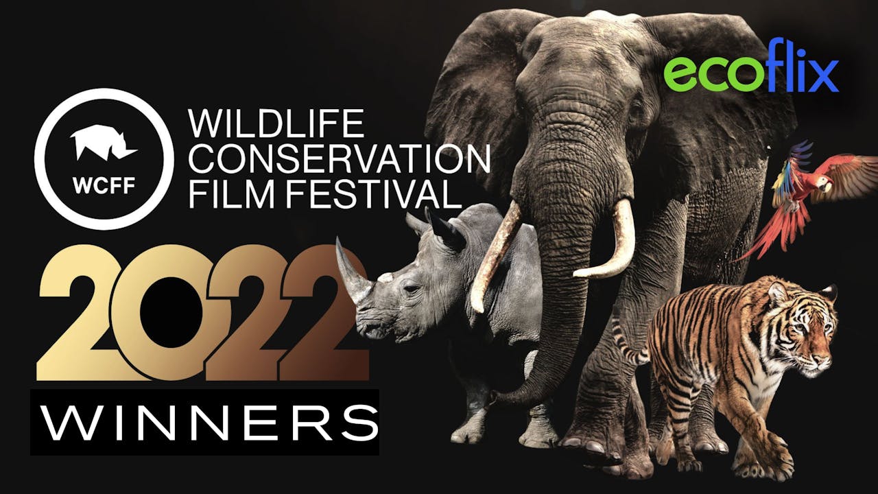 WCFF 2022 Festival Winners - Ecoflix | Empowering Change