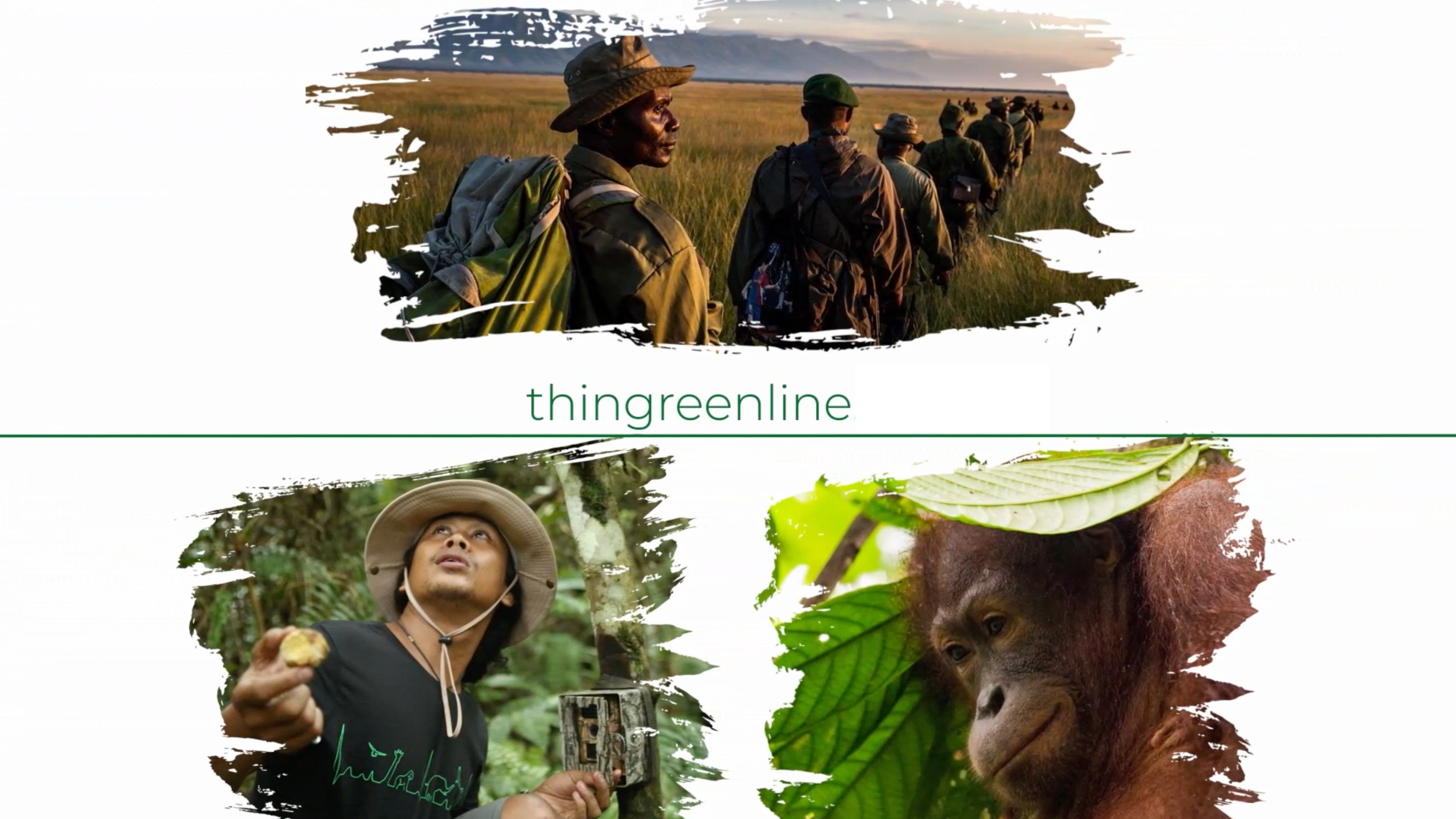 The Thin Green Line Rangers 