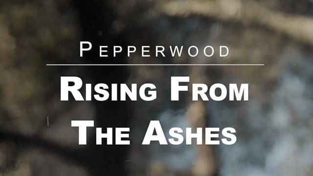 Pepperwood: Rising From The Ashes