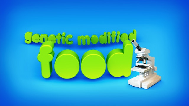 GMO Genetic modified food