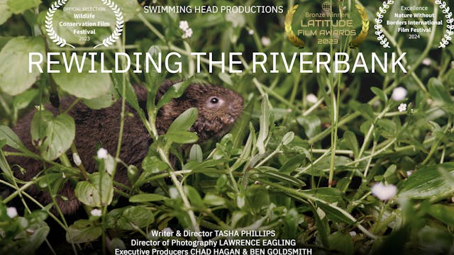 Sneak Peak: Rewilding The Riverbank 