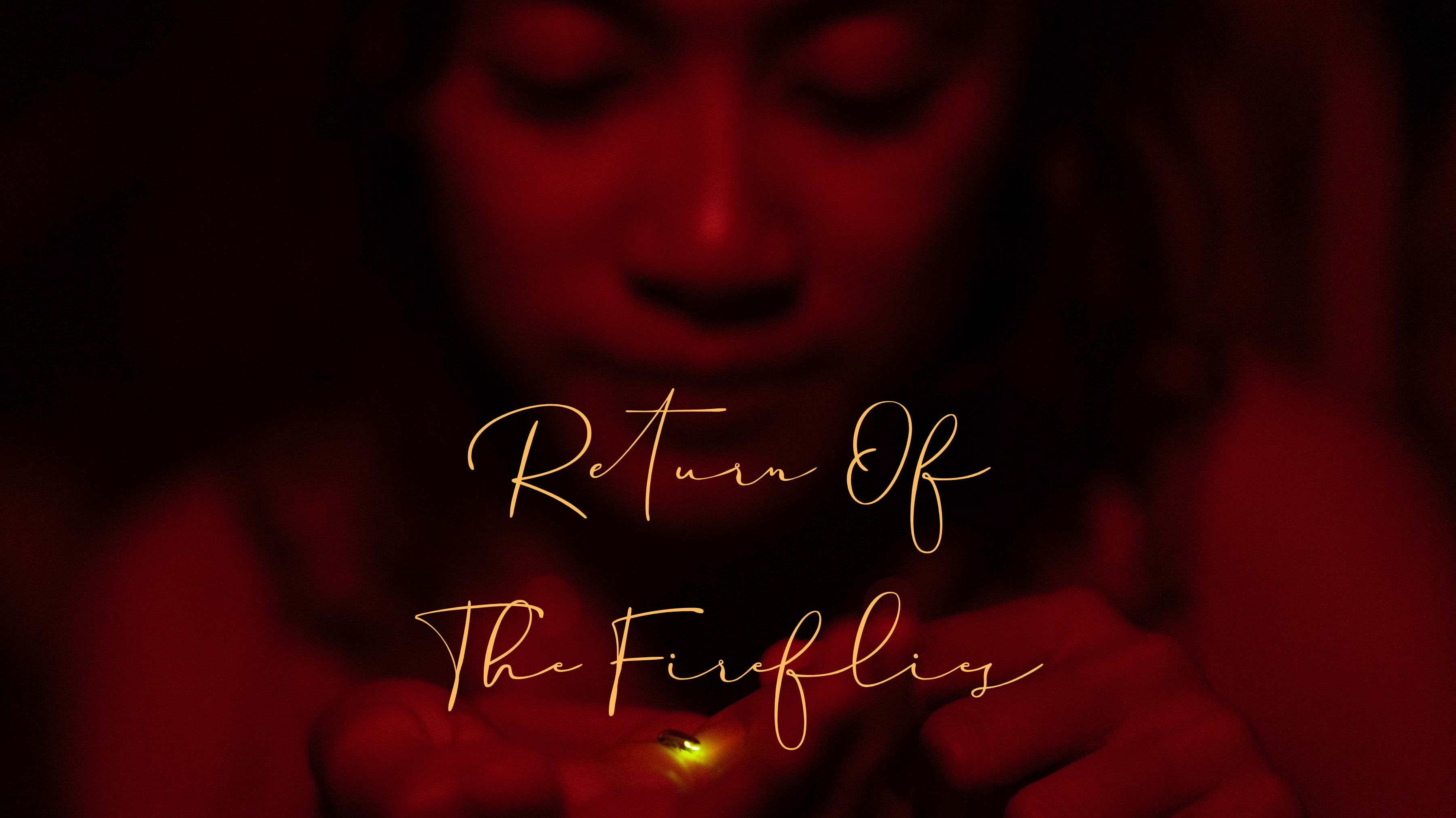 Return Of The Fireflies WCFF 2025