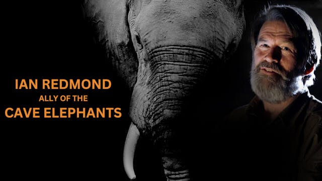 Ian Redmond: Ally of the Cave Elephants