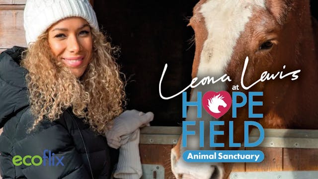Leona Lewis at Hopefield Animal Sanct...