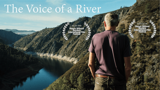 The Voice of a River
