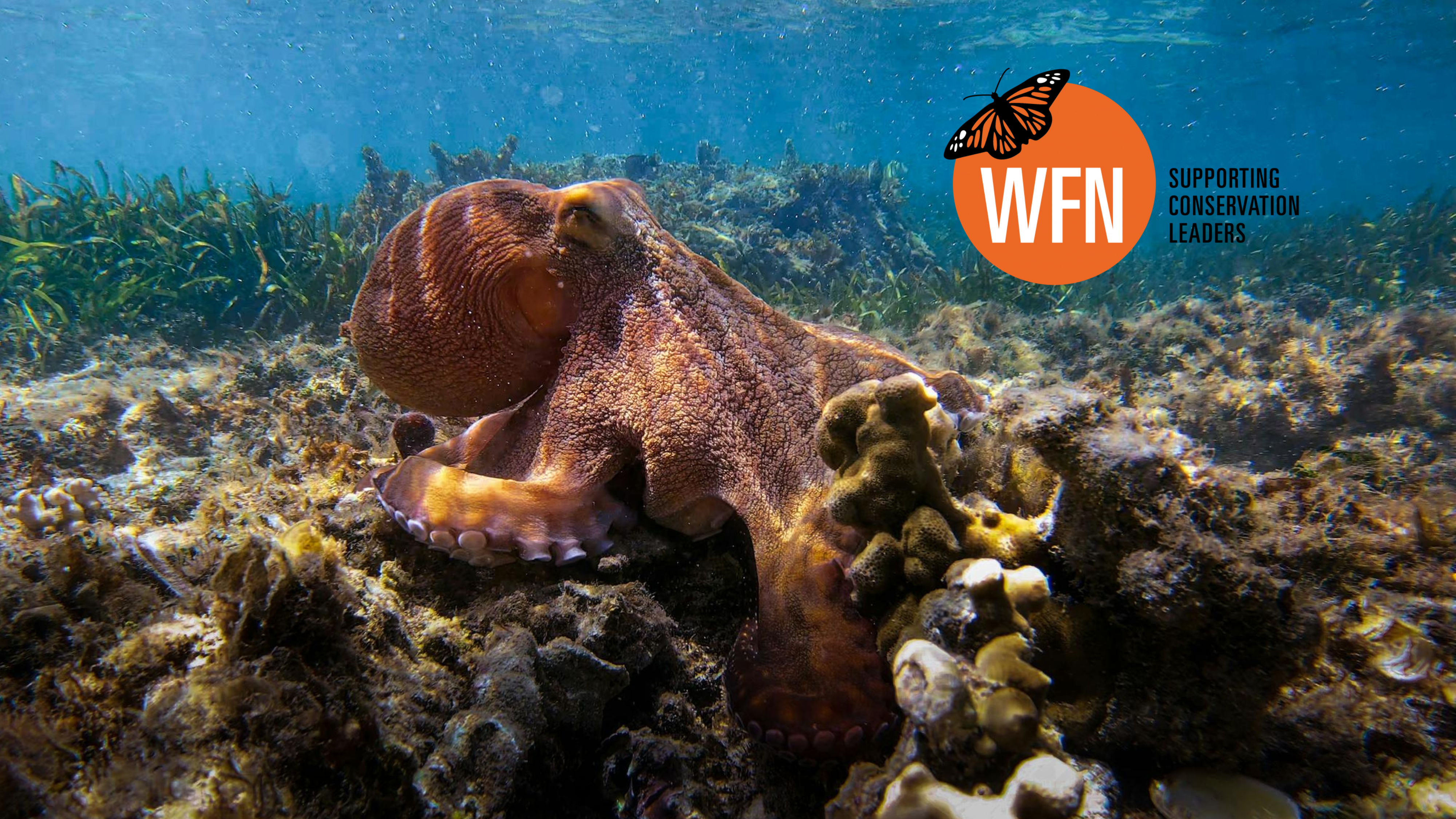 Whitley Fund For Nature