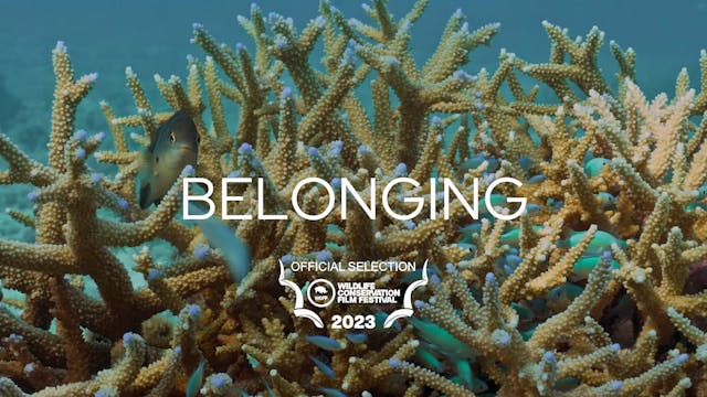 Belonging Trailer