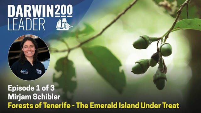 DARWIN 200 Forests of Tenerife - The ...