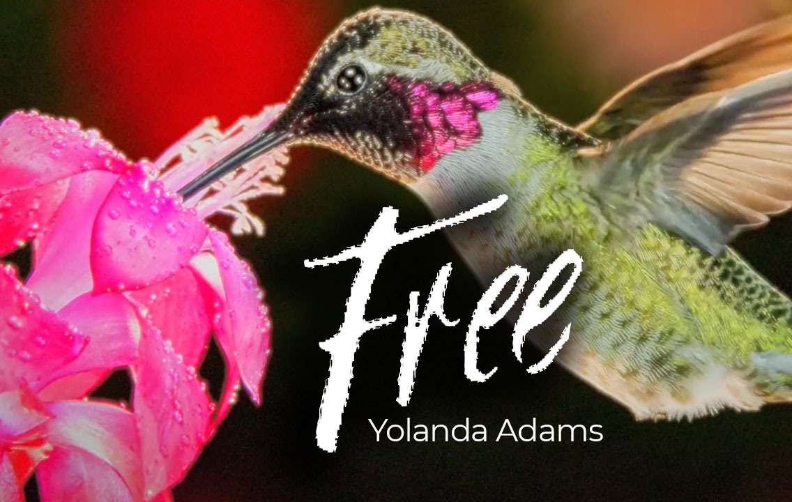 'Free' by Diane Warren - music video