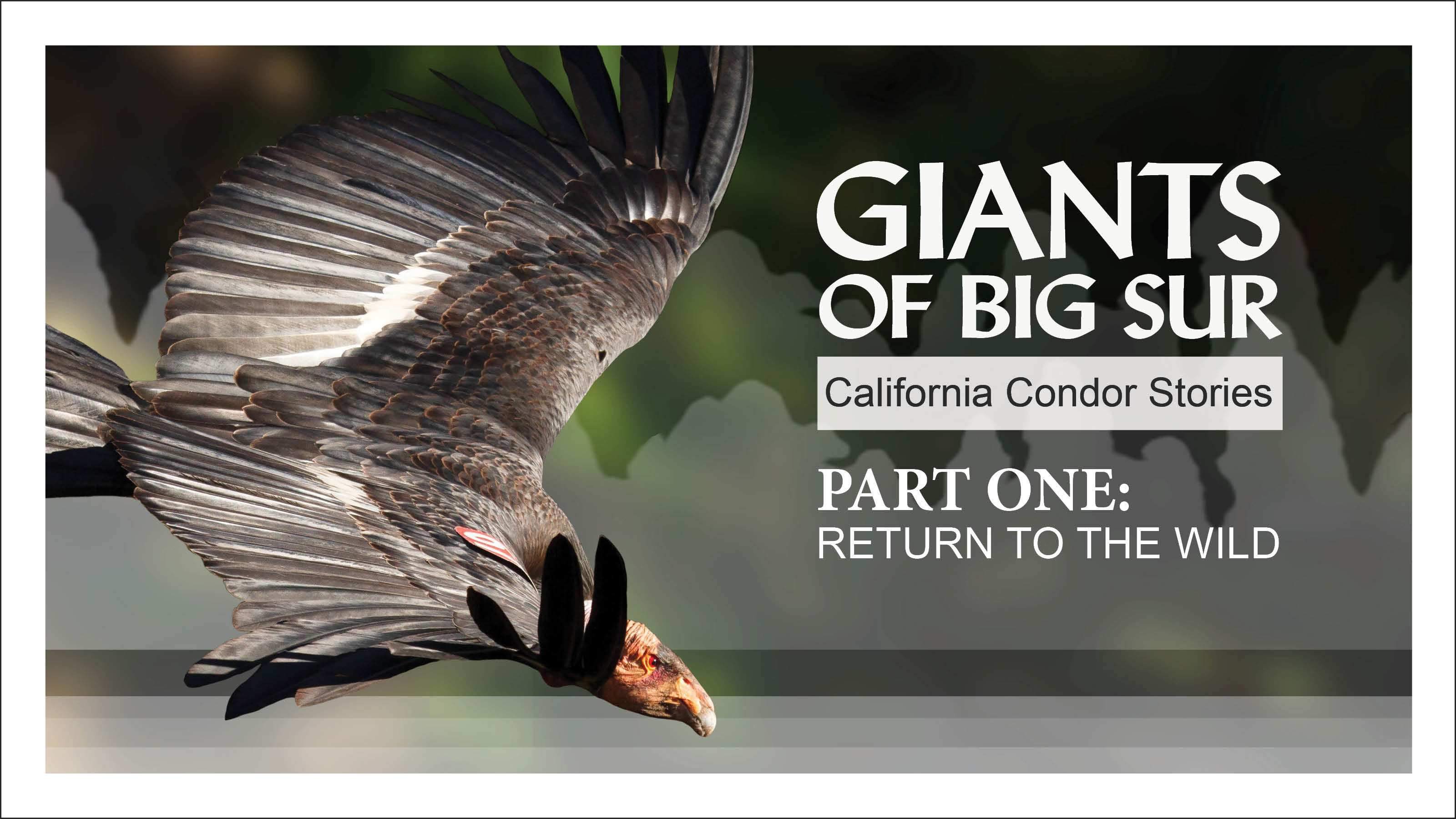 Giants of Big Sur Episode 1 of 3