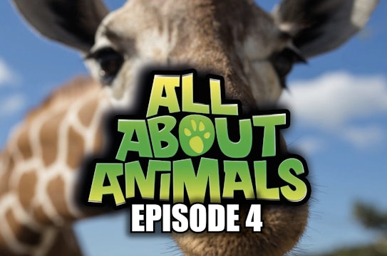 All About Animals - Series 1 - Episode 4