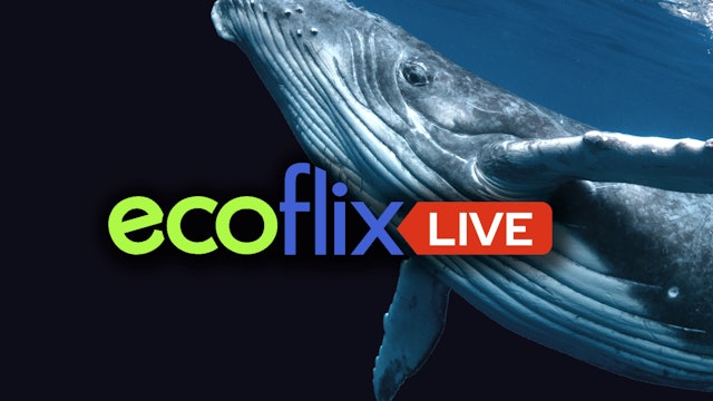 Ecoflix Live with Global Environment Media